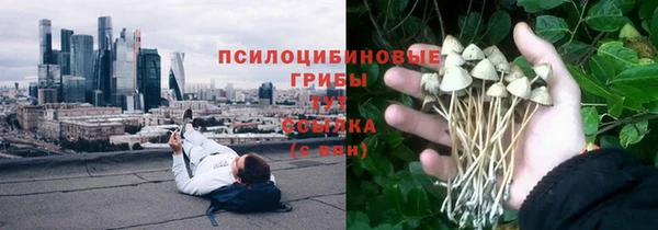 ECSTASY Арсеньев