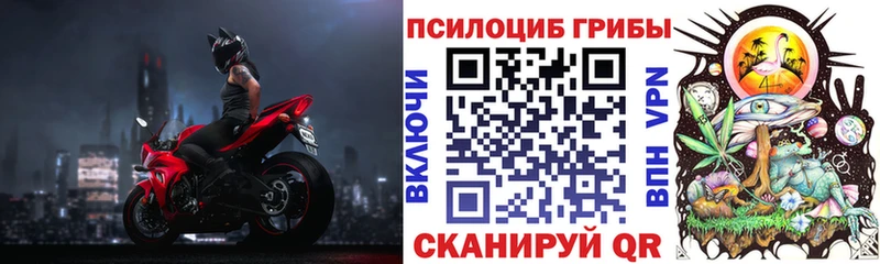 Галлюциногенные грибы прущие грибы  Купить  Магас 